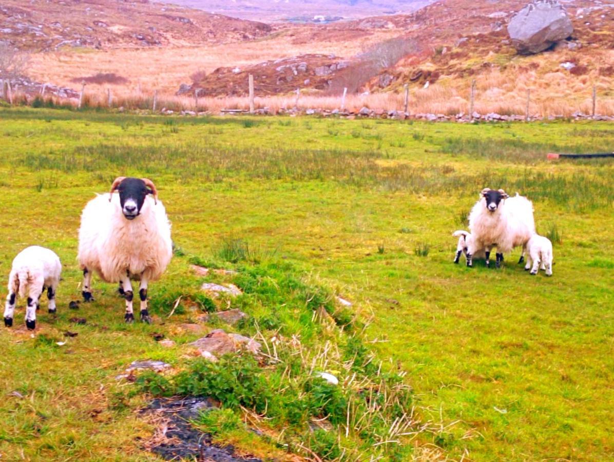 Donegal Cottage Donegal Town Eksteriør billede